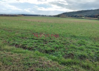 Foto 5 - Rustico Castiglione della Pescaia - foto 5