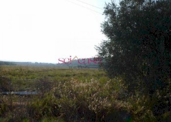 Foto 7 - Rustico Castiglione della Pescaia - foto 7