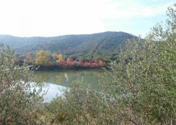 Foto 9 - Rustico Castiglione della Pescaia - foto 9