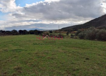 Foto 11 - Rustico Castiglione della Pescaia - foto 11