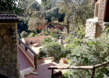 Foto 3 - Villa Orbetello - foto 3