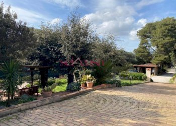 Foto 46 - Villa Orbetello - foto 46