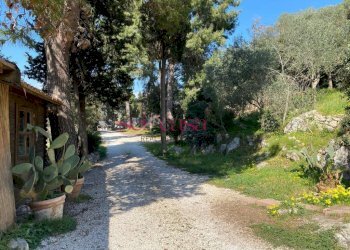 Foto 50 - Villa Orbetello - foto 50