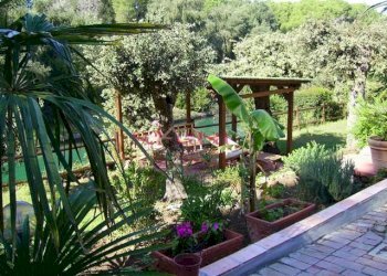 Foto 51 - Villa Orbetello - foto 51