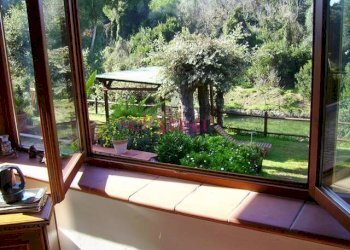 Foto 52 - Villa Orbetello - foto 52