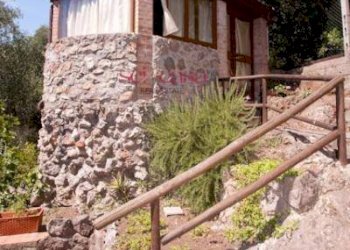 Foto 69 - Villa Orbetello - foto 69