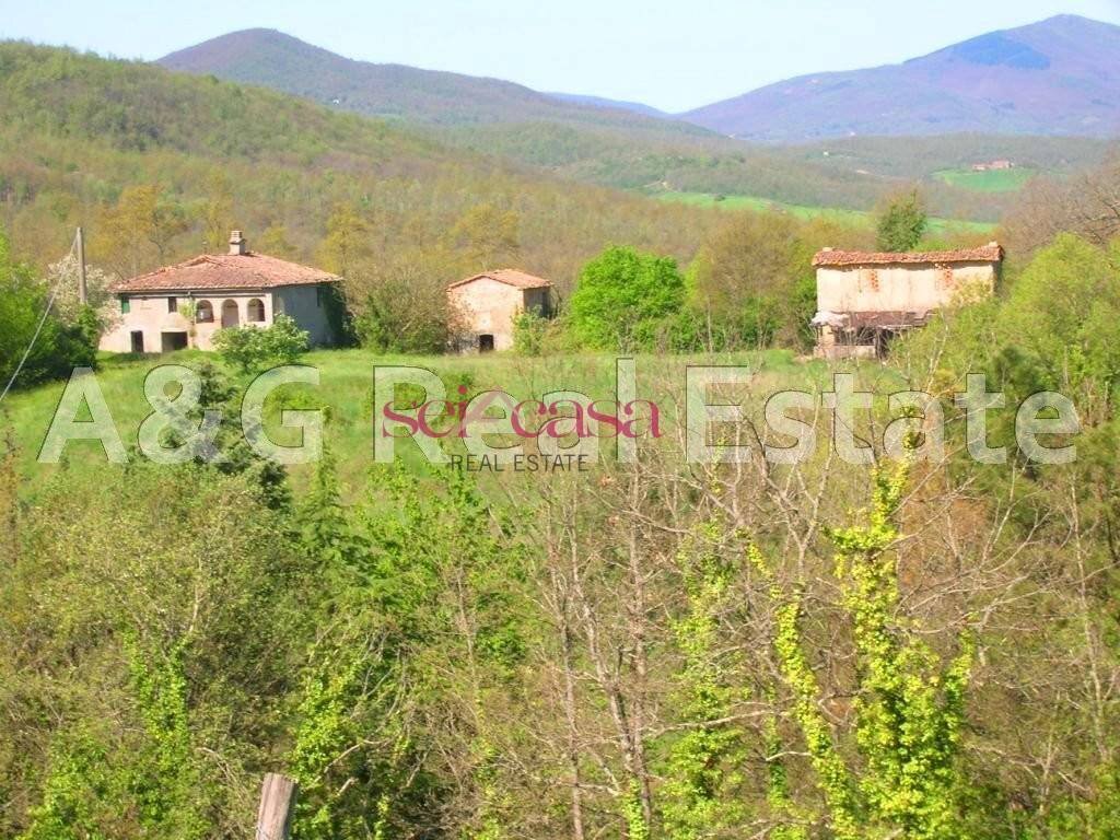 Foto 3 - Rustico Monticiano - foto 3