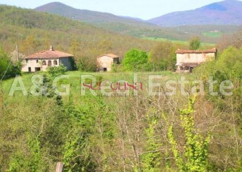 Foto 3 - Rustico Monticiano - foto 3