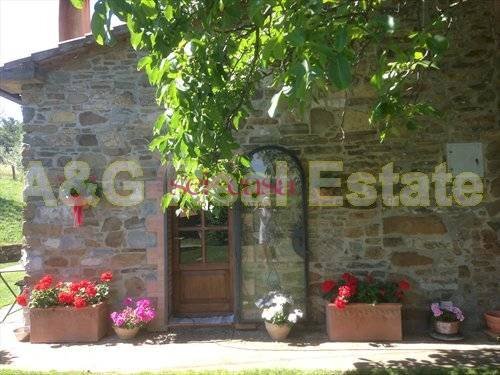 Foto 1 - Rustico Scansano - foto 1