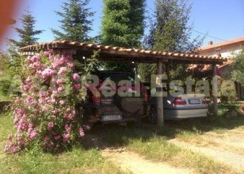 Foto 25 - Rustico Scansano - foto 25