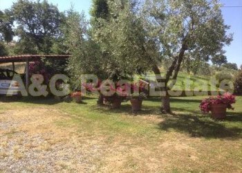 Foto 27 - Rustico Scansano - foto 27