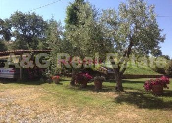 Foto 28 - Rustico Scansano - foto 28