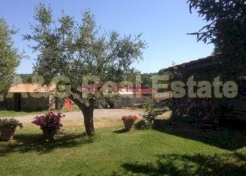 Foto 32 - Rustico Scansano - foto 32