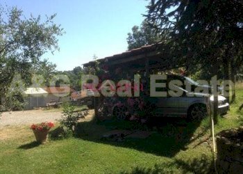 Foto 33 - Rustico Scansano - foto 33