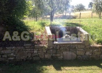 Foto 34 - Rustico Scansano - foto 34