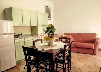 Foto 19 - Villa Gavorrano - foto 19