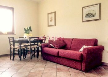 Foto 21 - Villa Gavorrano - foto 21