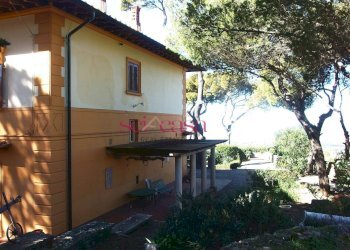 Foto 11 - Villa Livorno - foto 11