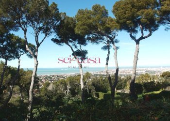 Foto 13 - Villa Livorno - foto 13