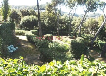 Foto 21 - Villa Livorno - foto 21