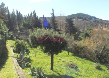 Foto 22 - Villa Livorno - foto 22