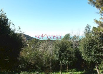 Foto 25 - Villa Livorno - foto 25