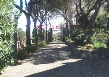 Foto 26 - Villa Livorno - foto 26