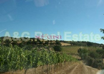 Foto 5 - Farm Magliano in Toscana - photo 5