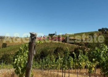 Foto 7 - Farm Magliano in Toscana - photo 7