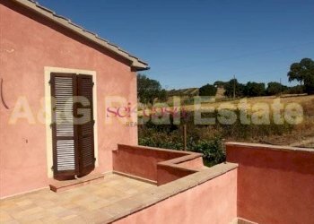 Foto 11 - Farm Magliano in Toscana - photo 11