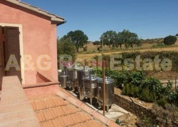Foto 13 - Farm Magliano in Toscana - photo 13