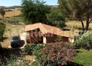 Foto 16 - Farm Magliano in Toscana - photo 16
