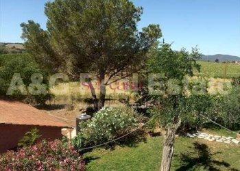 Foto 17 - Farm Magliano in Toscana - photo 17