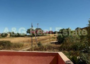 Foto 19 - Farm Magliano in Toscana - photo 19
