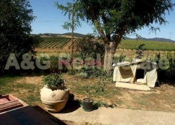 Foto 28 - Farm Magliano in Toscana - photo 28