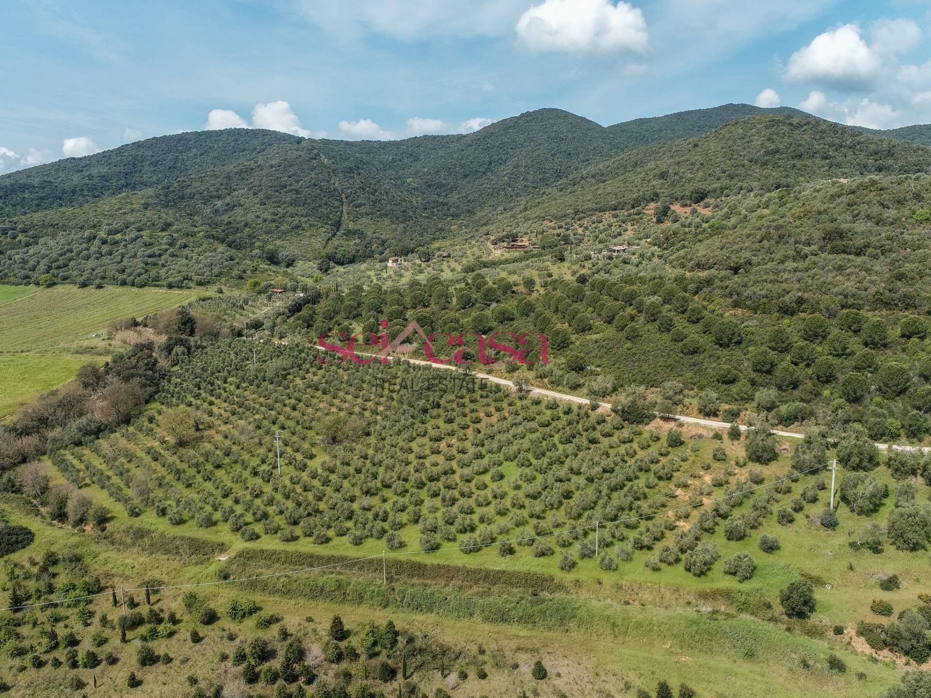 Foto 2 - Rustico Castiglione della Pescaia - foto 2