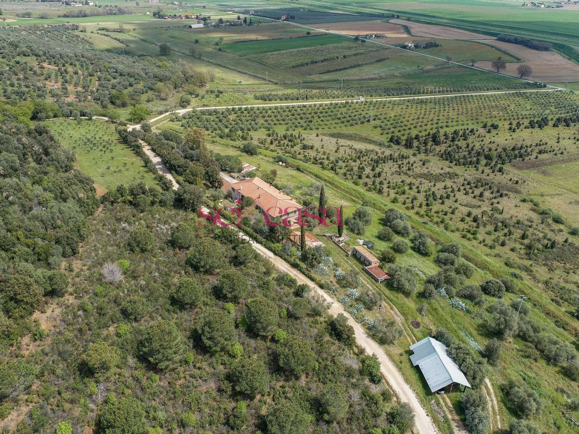 Foto 3 - Rustico Castiglione della Pescaia - foto 3