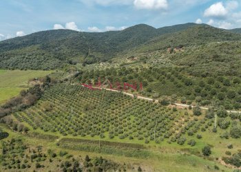 Foto 2 - Rustico Castiglione della Pescaia - foto 2