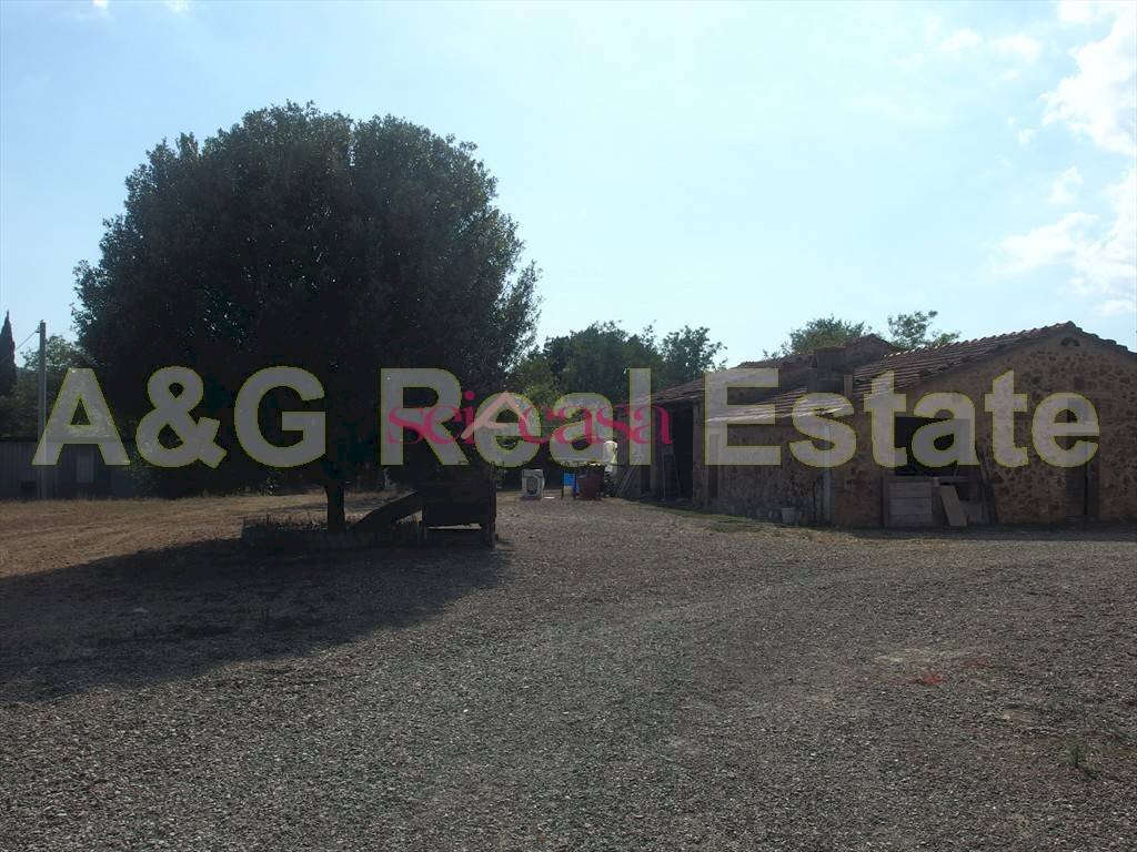 Foto 2 - Azienda agricola Civitella Paganico - foto 2