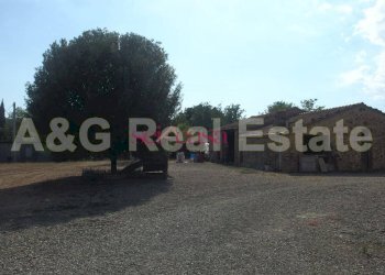 Foto 2 - Azienda agricola Civitella Paganico - foto 2