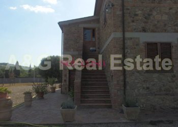 Foto 3 - Azienda agricola Civitella Paganico - foto 3