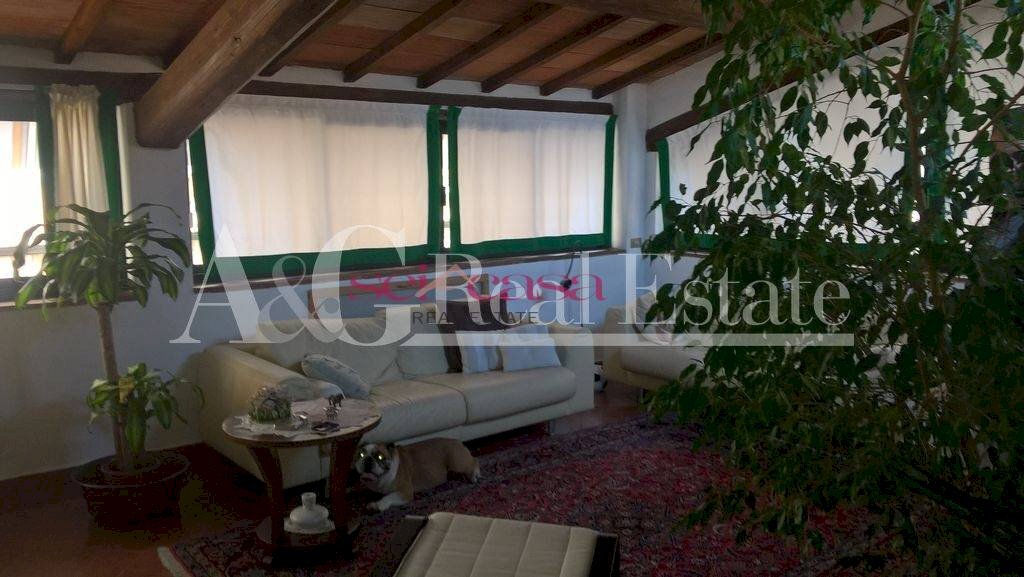 Foto 3 - Appartamento Grosseto - foto 3