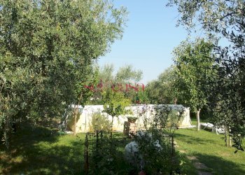 Foto 23 - Villa Grosseto - foto 23