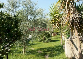 Foto 28 - Villa Grosseto - foto 28