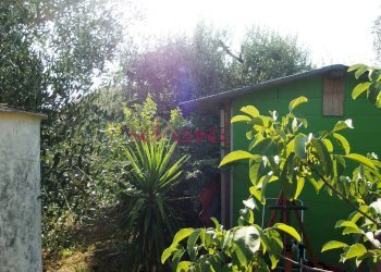 Foto 29 - Villa Grosseto - foto 29