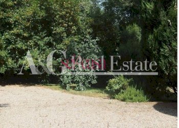 Foto 7 - Agriturismo Grosseto - photo 7