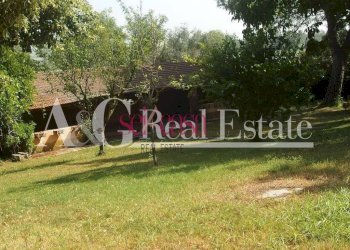 Foto 9 - Agriturismo Grosseto - photo 9