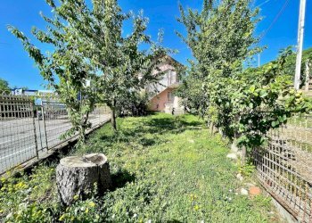 Giardino - Casa indipendente via Monchiero, 26, Monforte d'Alba - foto 18