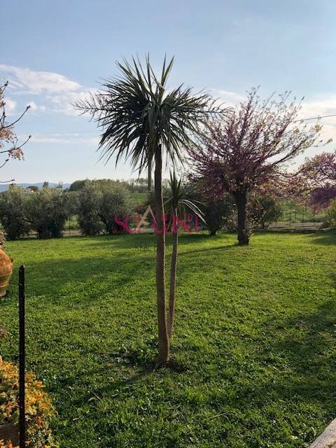 Foto 2 - Rustic Magliano in Toscana - photo 2