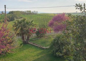 Foto 8 - Rustico Magliano in Toscana - foto 8